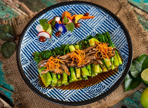 food-dish